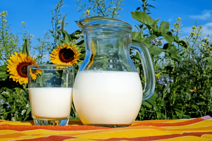 o leite é un alimento básico da dieta Dukan